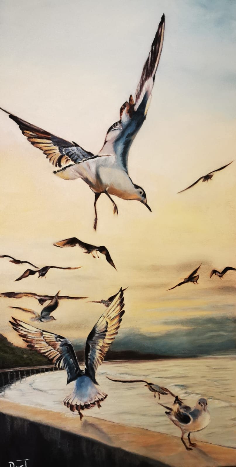 Vertical gulls in flight