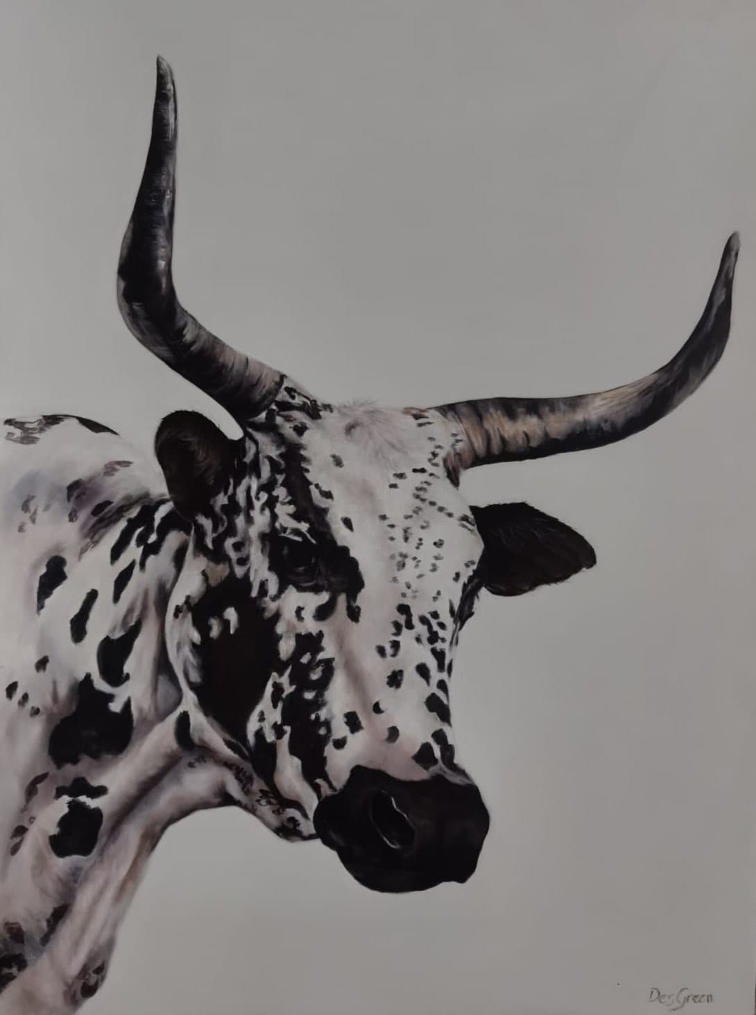 Nguni portrait 2