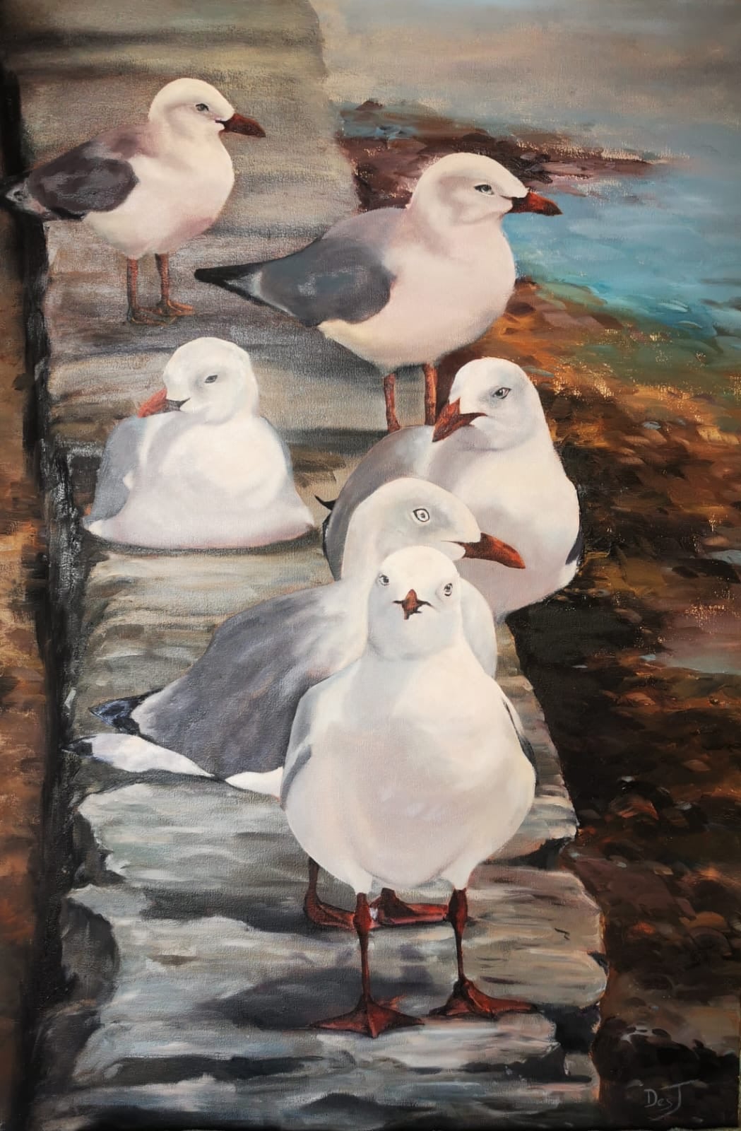 Oil painting depicting seagulls on the rocks by South African artist Des Green.