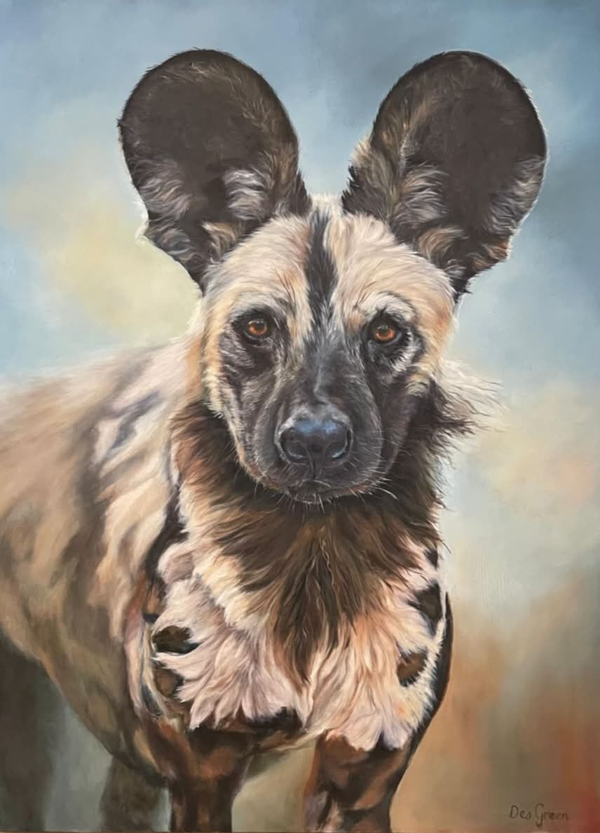 Oil painting depicting an African wild dog portrait by South African artist Des Green.