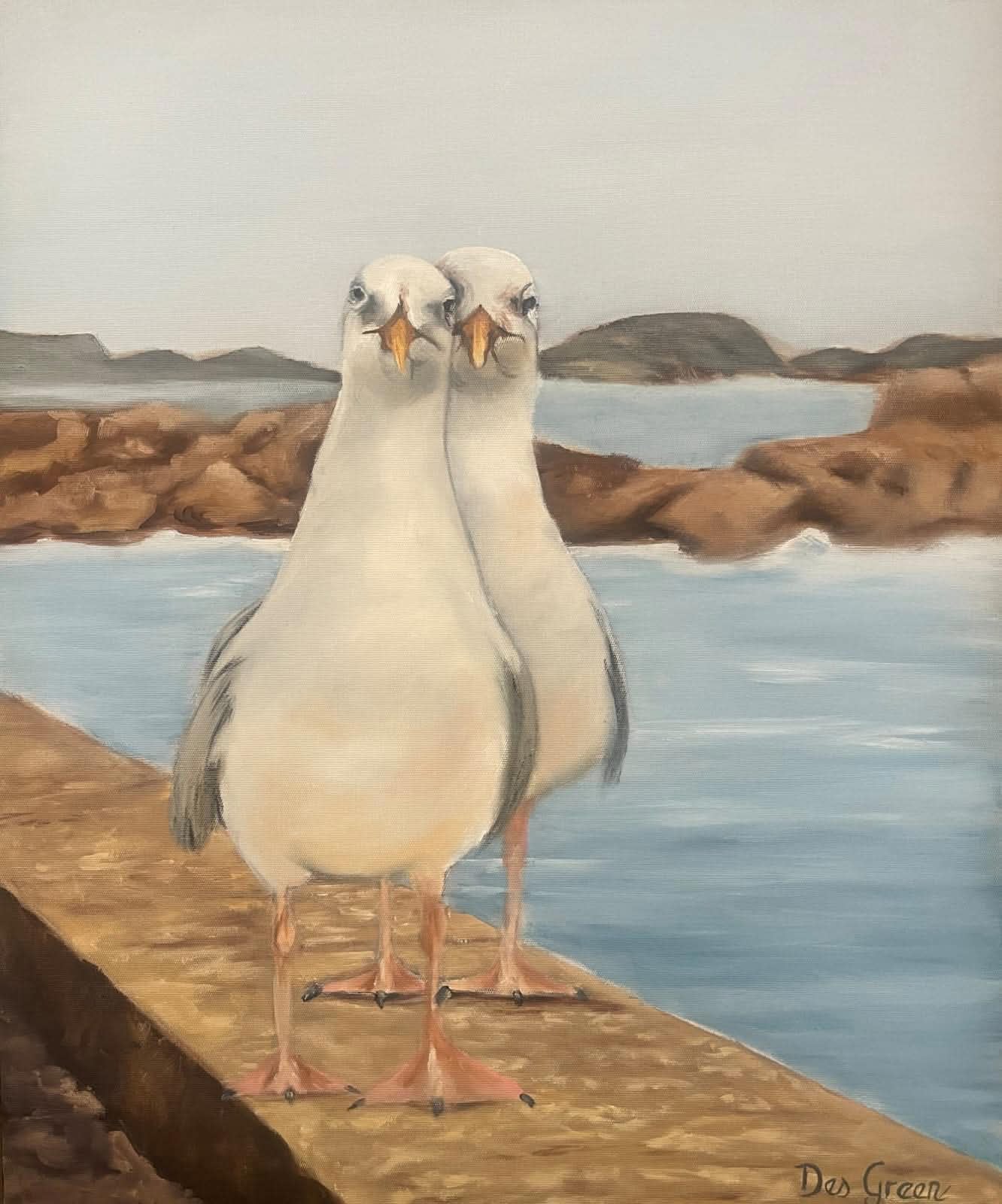 Oil painting depicting a pair of seagulls by the sea by South African artist Des Green.