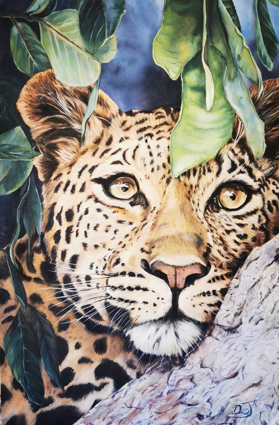Oil painting depicting leopard through the leaves by South African artist Des Green.