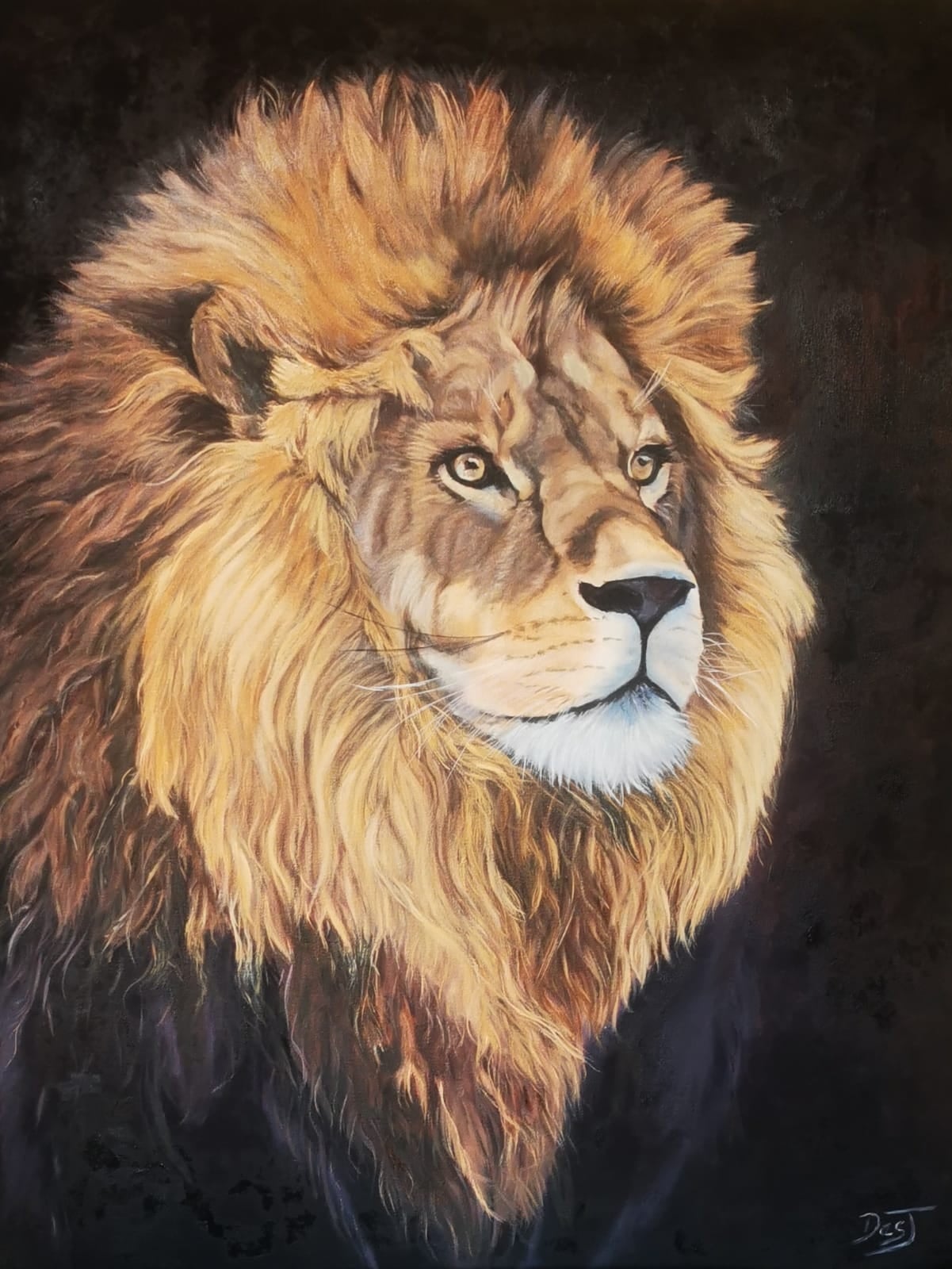 Oil painting depicting lion in profile by South African artist Des Green.