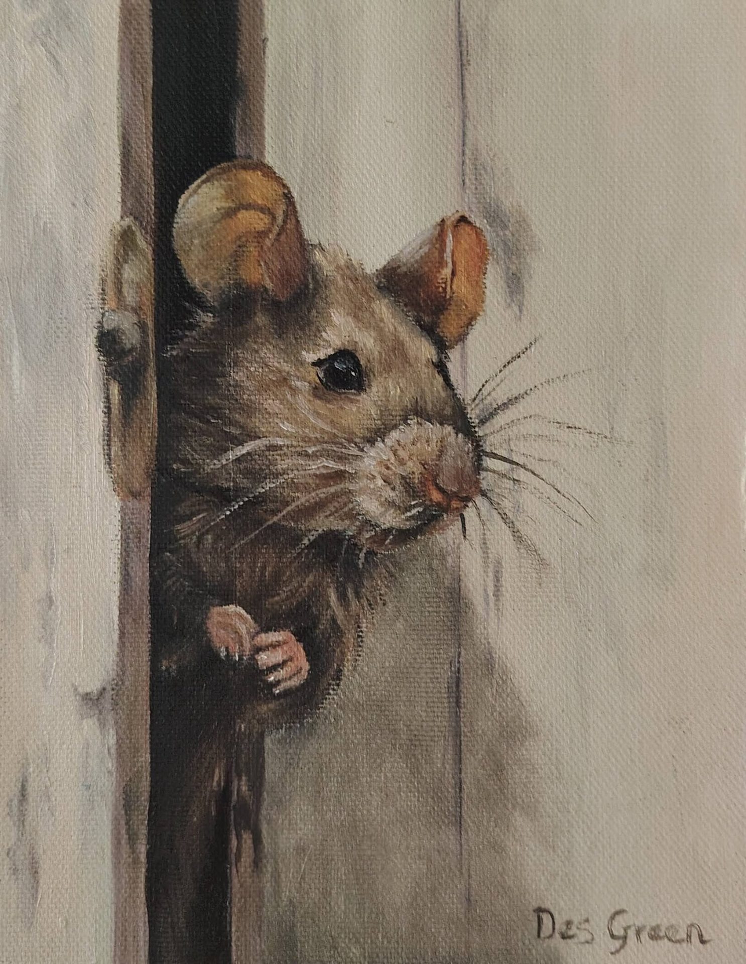 Oil painting of a mouse titled Just a Peek by South African artist Des Green.