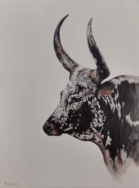 Oil painting depicting Horned Nguni-style cow - side portrait by South African artist Des Green.