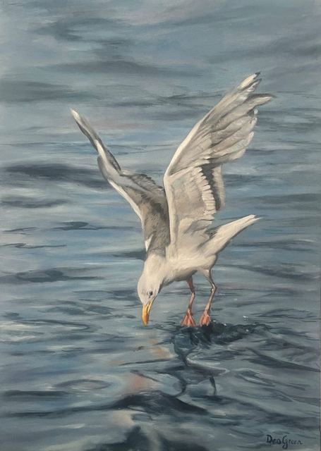 Oil painting depicting a seagull diving for fish by South African artist Des Green.