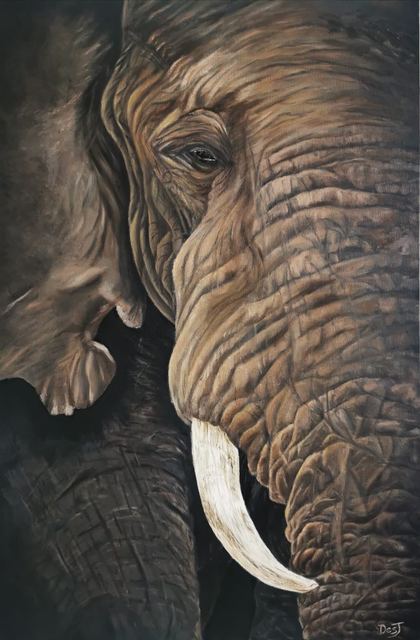 Oil painting depicting elephant close-up by South African artist Des Green.