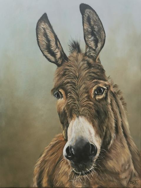 Oil painting depicting donkey portrait by South African artist Des Green.