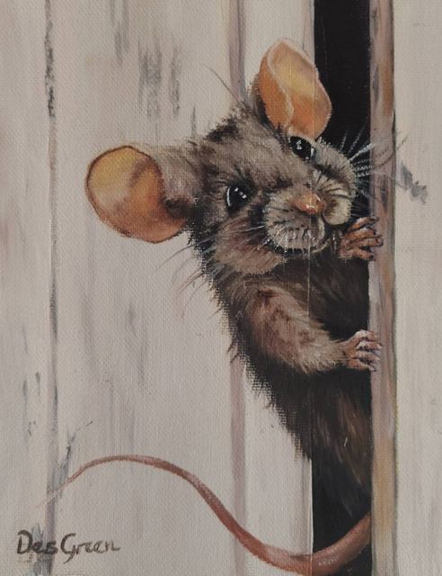 Oil painting of a mouse titled Caught Looking by South African artist Des Green.