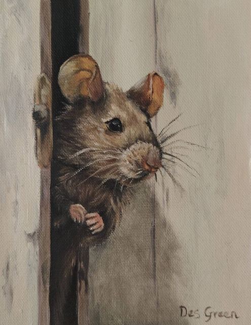 Oil painting of a mouse titled Just a Peek by South African artist Des Green.