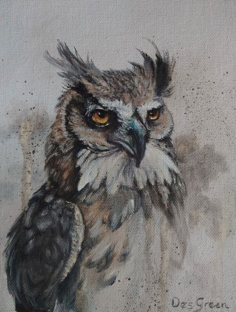 Oil painting of an owl titled Quiet Sentinel by South African artist Des Green.
